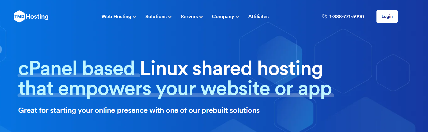 shared hosting service by tmd